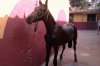 IMAG0099.jpg
