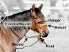 Bosal01.jpg