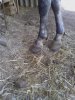 IMG_20120706_190430.jpg