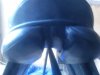 IMG_20120223_174557.jpg