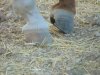 DSCF3174.jpg