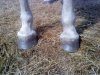 DSC00165.jpg