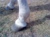 DSC00167.jpg