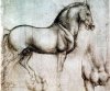 caballo-davinci0x381-l.jpg