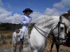 romeria 2012 005.jpg