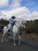 romeria 2012 010.jpg