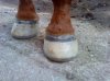 DSC00322.jpg