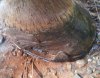 20121009_123621.jpg