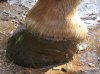 20121009_123631.jpg