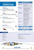 LISTA+DE+SERVICIOS+CABALLOS.jpg
