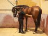 2012-07-22-054.jpg