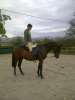 laequi.jpg