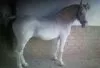 quivir.jpg