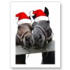 caballos_del_navidad_postales-p239075854449272140baanr_400.jpg