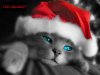 Gatito_Noel1.jpg