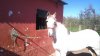 DSC00090.jpg