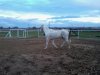 2012-12-04 09.04.15.jpg