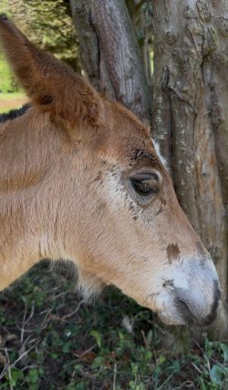 IMG_9039.jpeg IMG_9039.jpeg