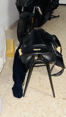 IMG_3134.jpeg
