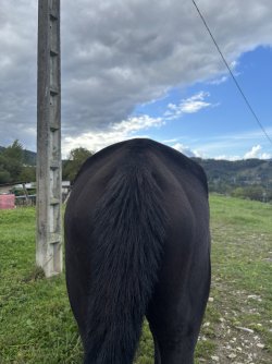 IMG_5043.jpeg