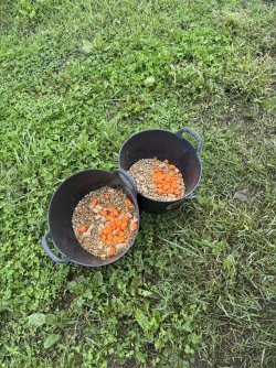 IMG_5046.jpeg