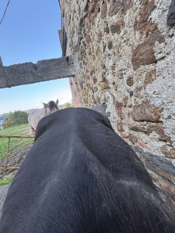 IMG_5709.jpeg