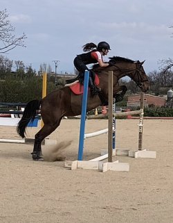IMG_20260430_214243.jpg