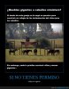 CR_782850_si_no_tienes_permiso.jpg