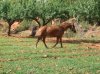 DSCF7672.jpg