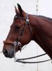 hackamore.jpg