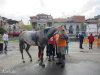 in_the_vet_gate_by_azeltik-d5ghrba.JPG in_the_vet_gate_by_azeltik-d5ghrba.JPG