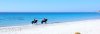 exclusiver-menorca-caballos.jpg exclusiver-menorca-caballos.jpg