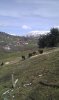IMAG0741.jpg