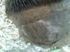 IMG-20130415-WA0012.jpg