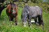 DSC_1363.jpg