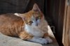 DSC_1421.JPG