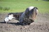 DSC_1459.JPG
