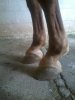 2013-05-08 11.41.45.jpg