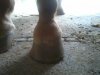 2013-05-08 11.47.16.jpg