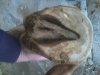 2013-05-08 11.48.57.jpg