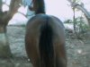 IMG0035A.jpg