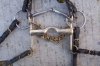 double_bridle_bits.jpg