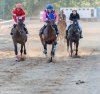 Carrera equifira.jpg