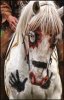 caballo indio.jpg caballo indio.jpg