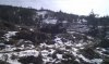 IMAG0737.jpg