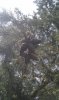 IMAG0774.jpg