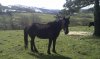 IMAG0763.jpg
