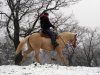 IMG_1856b.jpg