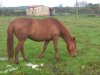 2013-04-09-19-24-39_photo.jpg