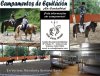 Campamentos de verano.jpg